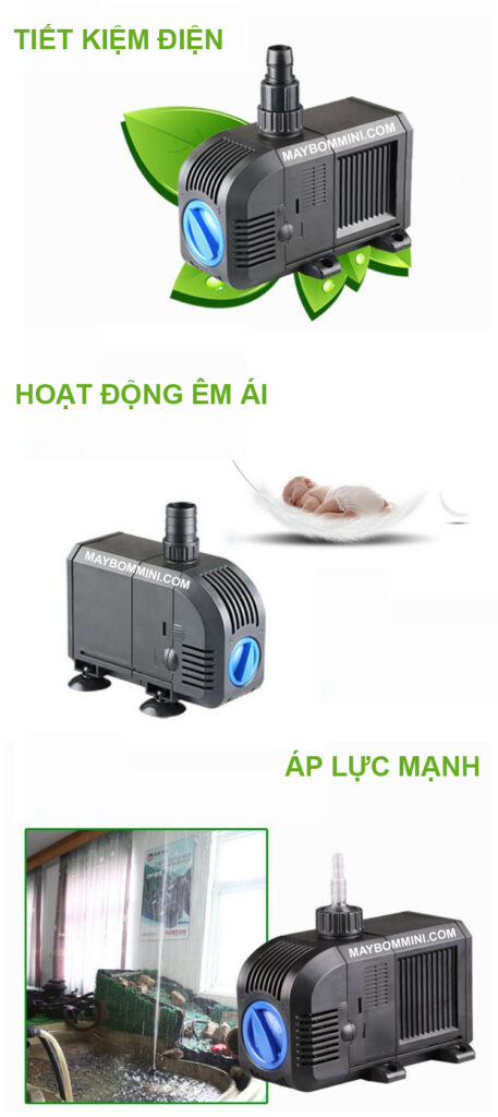 may-bom-chim-220v-ho-ca-tieu-canh-hon-non-bo