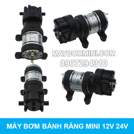 BOM BANH RANG MINI