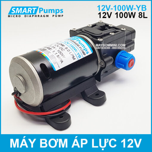 May Bom Ap Luc Mini Smarpumps 12V 100W 8L Tu Dong