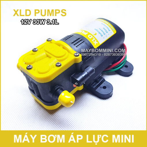 May Bom Mini 12v 30w Gia Re