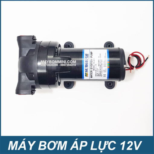 May Bom Nuoc Ap Luc 12V FL200 SURGEFLO