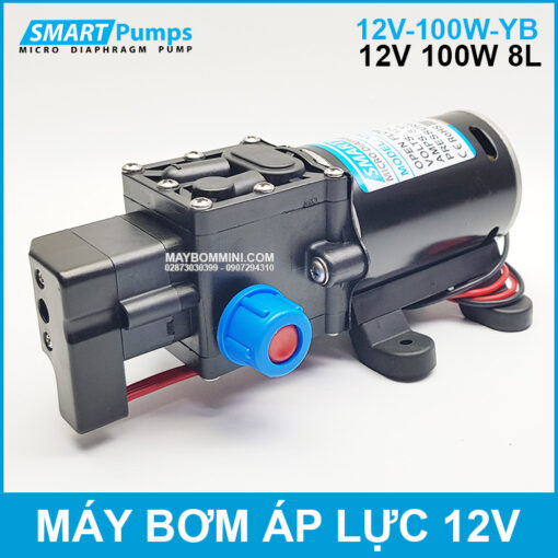 May Xit Rua Mini 12v 100w Smartpumps