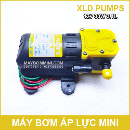 Bom Nuoc Mini 12V 30W XLD