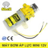 Bom Nuoc Mini 12v Rua Xe Shell