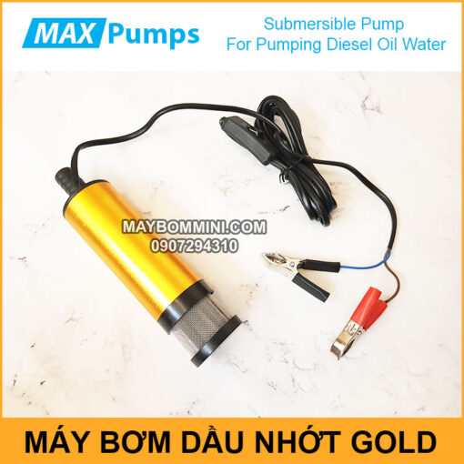 Pumping Diesel Oil Water 12V 24V DC