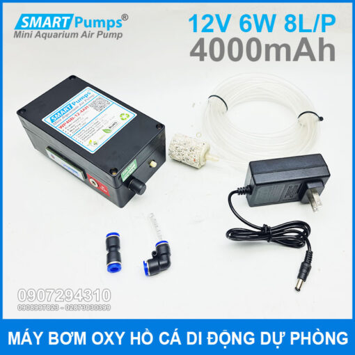 May Bom Oxy Du Phong 8L 6W 12V 4Ah