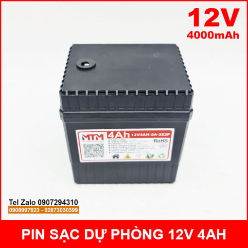 Pin Sac 12v 4Ah