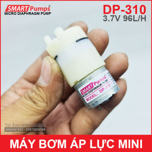 Bom Nuoc Mini 12v DP 310